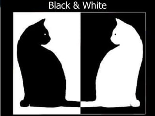 Black & White
 
