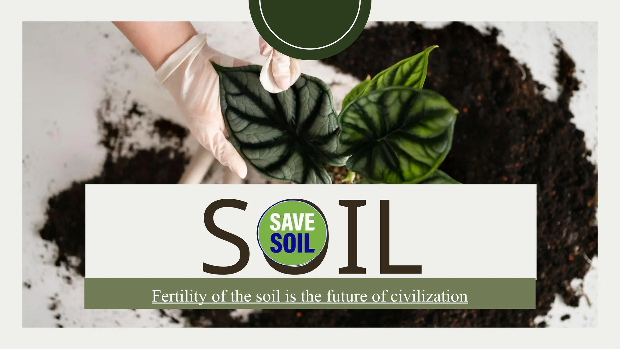 SOIL
Fertility of the soil is the future of civilization
 