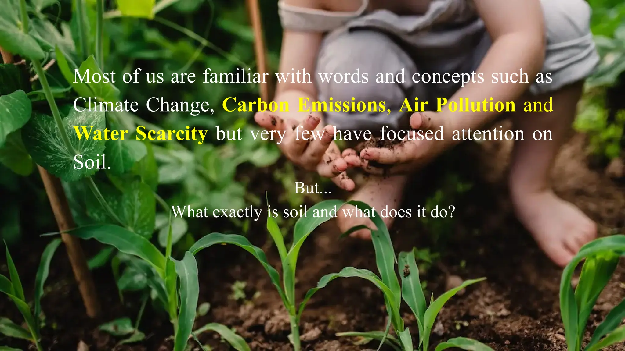Most of us are familiar with words and concepts such as
Climate Change, Carbon Emissions, Air Pollution and
Water Scarcity but very few have focused attention on
Soil.
But...
What exactly is soil and what does it do?
 