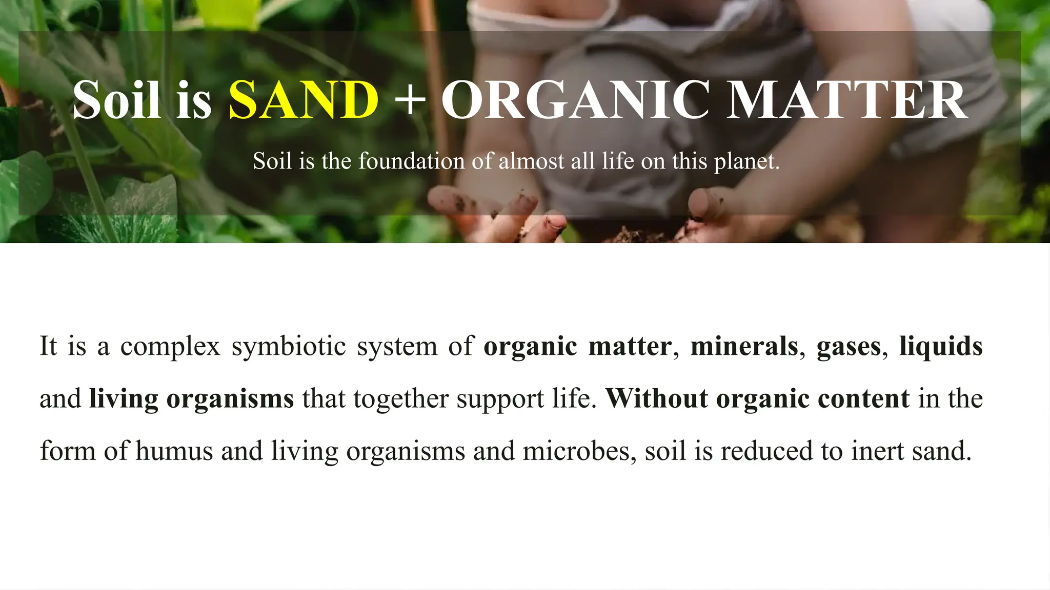 Soil is SAND + ORGANIC MATTER
Soil is the foundation of almost all life on this planet.
It is a complex symbiotic system of organic matter, minerals, gases, liquids
and living organisms that together support life. Without organic content in the
form of humus and living organisms and microbes, soil is reduced to inert sand.
 