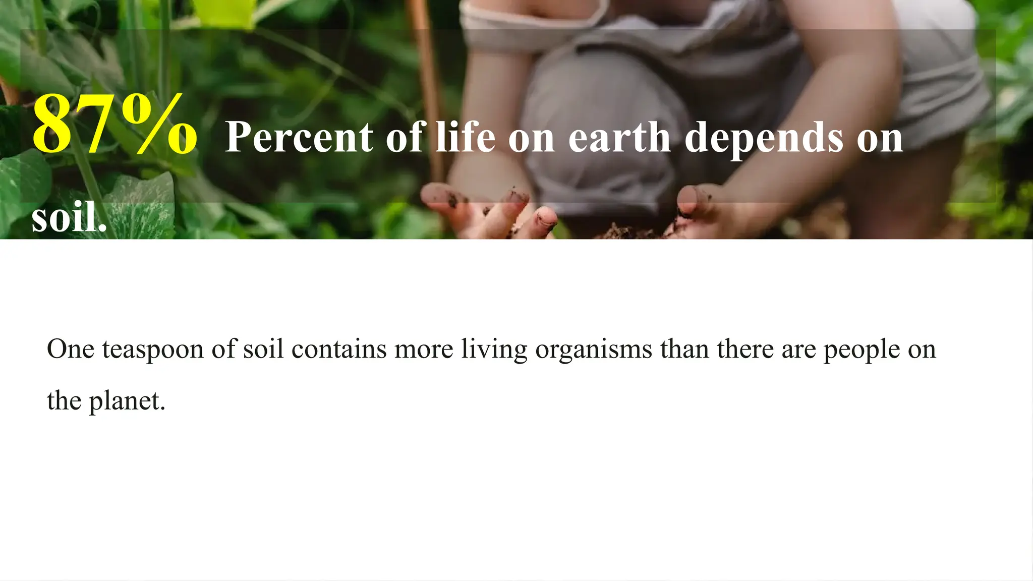 One teaspoon of soil contains more living organisms than there are people on
the planet.
87% Percent of life on earth depends on
soil.
 