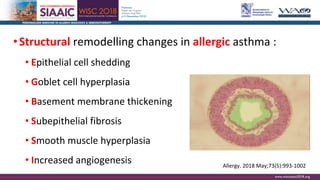 Correlation between upper and lower airways. United Airway Disease ...