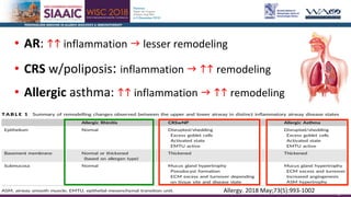 Correlation between upper and lower airways. United Airway Disease ...