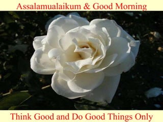 Assalamualaikum & Good Morning Think Good and Do Good Things Only 