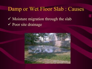 Damp or Wet Floor Slab : Causes Moisture migration through the slab Poor site drainage 