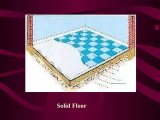 Solid Floor 