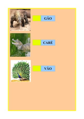 GÃO

CARÉ

VÃO

 