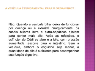 Não. Quando a vesícula biliar deixa de funcionar
por doença ou é extraída cirurgicamente, os
canais biliares intra e extra-hepáticos dilatam
para conter mais bile. Após as refeições, o
esfíncter de Oddi se abre e a bile, com pressão
aumentada, escorre para o intestino. Sem a
vesícula, embora o esguicho seja menor, a
quantidade de bile é suficiente para desempenhar
sua função digestiva.
 