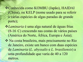 Conhecida como KOMBU (Japão), HAIDAI
 (China), ou KELP (nome usado para se referir
 a várias espécies de algas paradas de grande
 porte);
Laminaria é uma alga natural de águas frias
 (8-16 C) crescendo nas costas de vários países
 (América do Norte, África, Europa e Ásia);
 Na costa brasileira, mais precisamente no Rio
 de Janeiro, existe um banco com duas espécies
 de Laminaria (L. abyssalis e L. brasiliensis) a
 uma profundidade que varia de 40 a 120
 metros.
 