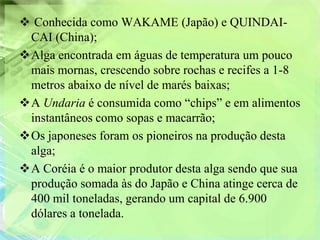  Conhecida como WAKAME (Japão) e QUINDAI-
 CAI (China);
Alga encontrada em águas de temperatura um pouco
 mais mornas, crescendo sobre rochas e recifes a 1-8
 metros abaixo de nível de marés baixas;
A Undaria é consumida como “chips” e em alimentos
 instantâneos como sopas e macarrão;
Os japoneses foram os pioneiros na produção desta
 alga;
A Coréia é o maior produtor desta alga sendo que sua
 produção somada às do Japão e China atinge cerca de
 400 mil toneladas, gerando um capital de 6.900
 dólares a tonelada.
 