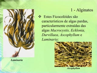 1 - Alginatos
             Estes Ficocolóides são
             característicos de algas pardas,
             particularmente extraídas das
             algas Macrocystis, Ecklonia,
             Durvillaea, Ascophyllum e
             Laminaria;




Laminaria

                              Ascophyllum
 