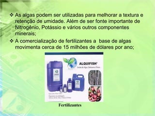  As algas podem ser utilizadas para melhorar a textura e
  retenção de umidade. Além de ser fonte importante de
  Nitrogênio, Potássio e vários outros componentes
  minerais;
 A comercialização de fertilizantes a base de algas
  movimenta cerca de 15 milhões de dólares por ano;




                    Fertilizantes
 
