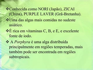 Conhecida como NORI (Japão), ZICAI
 (China), PURPLE LAVER (Grã-Bretanha).
Uma das algas mais comidas no sudeste
 asiático.
É rica em vitaminas C, B, e E, e excelente
 fonte de iodo.
 A Porphyra é uma alga distribuída
 principalmente em regiões temperadas, mais
 também pode ser encontrada em regiões
 subtropicais.
 