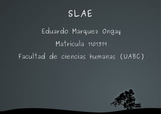 SLAE ,[object Object]