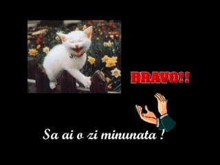 Sa ai o zi minunata !
 