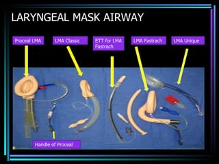 LARYNGEAL MASK AIRWAY Proceal LMA LMA Classic LMA Fastrach LMA Unique ETT for LMA Fastrach Handle of Proceal 