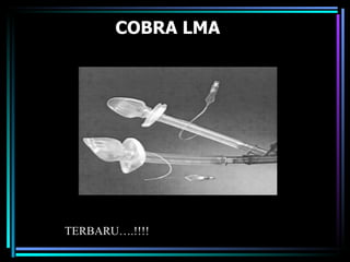 COBRA LMA TERBARU….!!!! 