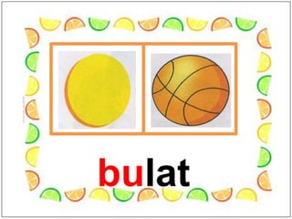 bulat
 
