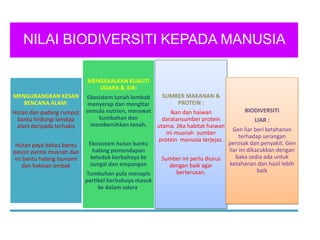Apa maksud biodiversiti