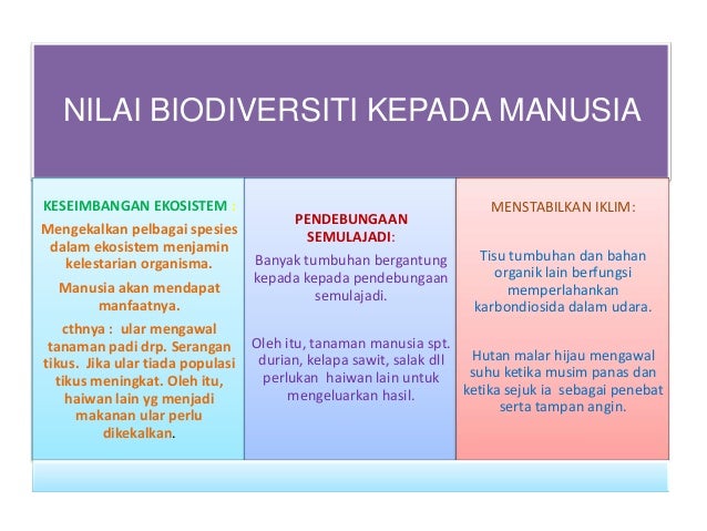 Slaid biodiversiti