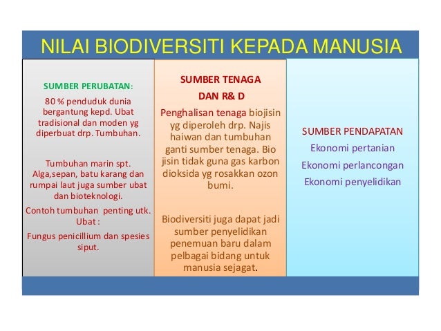Slaid biodiversiti