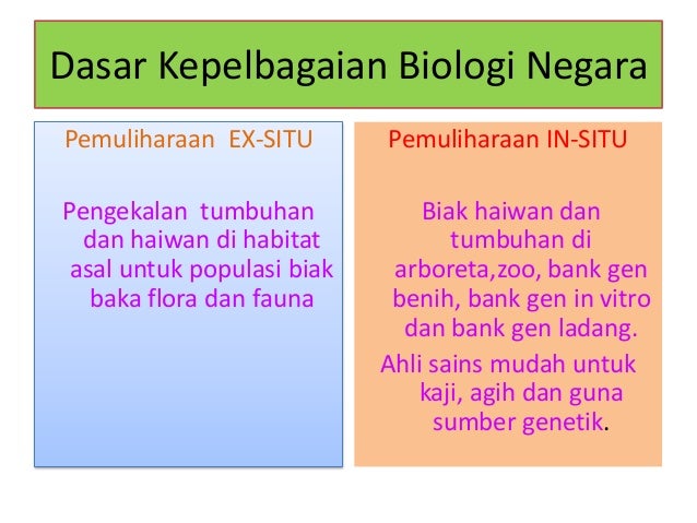 Slaid biodiversiti