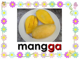mang ga 