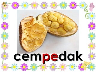 cem pe dak 