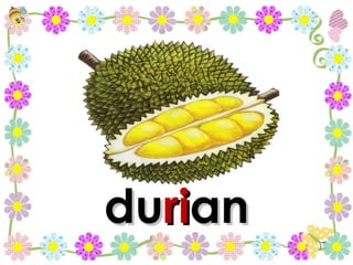du ri an 