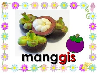 mang gis 
