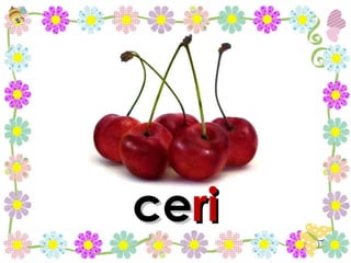 ce ri 
