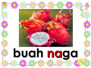 buah  na ga 
