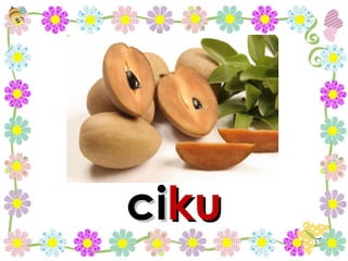 ci ku 