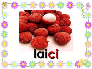 lai ci 