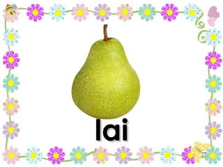 lai 
