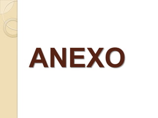 ANEXO
 