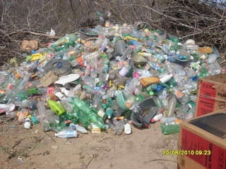 Slaid do artigo da faculdade 2010 