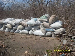 Slaid do artigo da faculdade 2010 