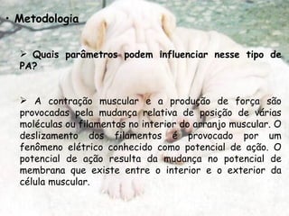 Metodologia Quais parâmetros podem influenciar nesse tipo de PA?   A contração muscular e a produção de força são provocadas pela mudança relativa de posição de várias moléculas ou filamentos no interior do arranjo muscular. O deslizamento dos filamentos é provocado por um fenômeno elétrico conhecido como potencial de ação. O potencial de ação resulta da mudança no potencial de membrana que existe entre o interior e o exterior da célula muscular. 