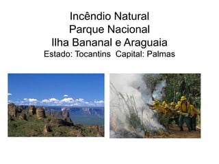 Incêndio Natural
Parque Nacional
Ilha Bananal e Araguaia
Estado: Tocantins Capital: Palmas
 