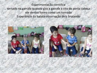 Experimentação científica
tornado na garrafa-quando gira a garrafa e vira de ponta cabeça
ele dentro forma como um tornado
Experiência da batata-observação dela brotando
 