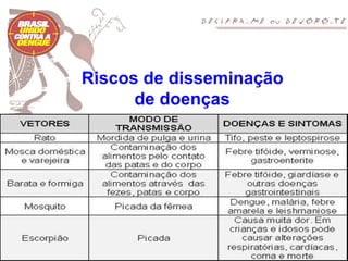 Riscos de disseminação
      de doenças
 