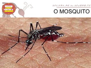 O MOSQUITO
 