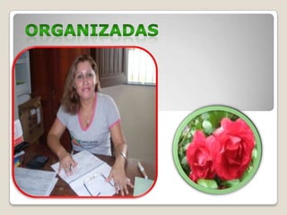 ORGANIZADAS