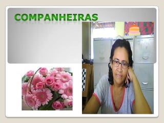 COMPANHEIRAS