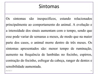 Sintomas
Os sintomas são inespecíficos, estando relacionados
principalmente ao comportamento do animal. A evolução e
a intensidade dos sinais aumentam com o tempo, sendo que
esse pode variar de semanas a meses, de modo que na maior
parte dos casos, o animal morre dentro de três meses. Os
sintomas apresentados são: menor tempo de ruminação,
aumento na frequência de lambidas no focinho, espirros,
contração do focinho, esfregar da cabeça, ranger de dentes e
sensibilidade aumentada.
06/19/17 15
 