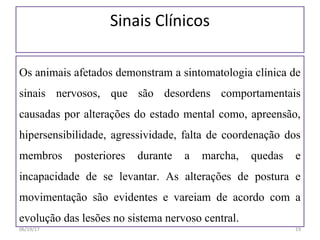 Sinais Clínicos
Os animais afetados demonstram a sintomatologia clínica de
sinais nervosos, que são desordens comportamentais
causadas por alterações do estado mental como, apreensão,
hipersensibilidade, agressividade, falta de coordenação dos
membros posteriores durante a marcha, quedas e
incapacidade de se levantar. As alterações de postura e
movimentação são evidentes e vareiam de acordo com a
evolução das lesões no sistema nervoso central.
06/19/17 19
 