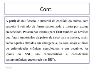 Cont.
A partir da notificação, o material do encéfalo do animal com
suspeita é retirado de forma padronizada e passa por exame
credenciado. Passam por exames para EEB também os bovinos
que foram importados de países de risco para a doença, assim
como aqueles abatidos em emergência, os com sinais clínicos
ou enfermidades crônicas neurológicas e em decúbito. As
lesões do SNC são características e consideradas
patognomónicas encontrada nas EETs.
06/19/17 6
 