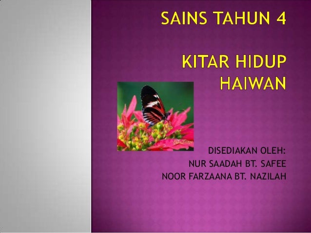 Slaid kitar hidup haiwan