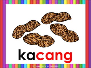 kacang
 (C) PRASEKOLAH SK ULU KAKUS 2010
 